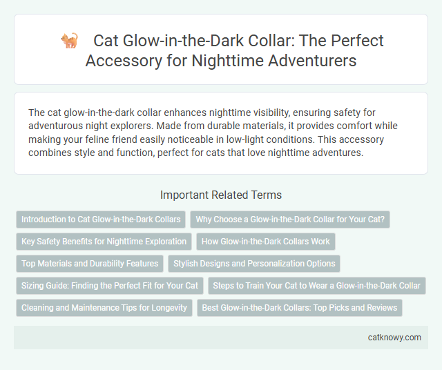 Cat Glow-in-the-Dark Collar: The Perfect Accessory for Nighttime Adventurers