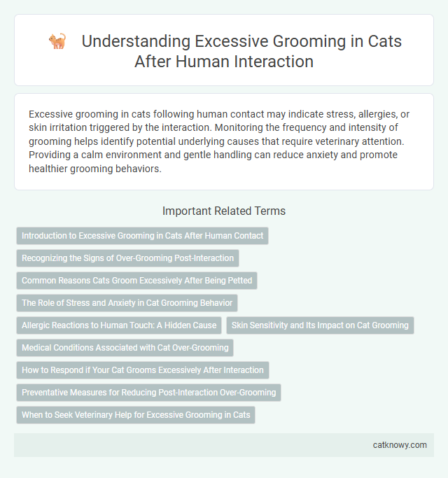 Understanding Excessive Grooming in Cats After Human Interaction