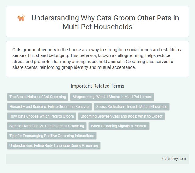 Understanding Why Cats Groom Other Pets in Multi-Pet Households
