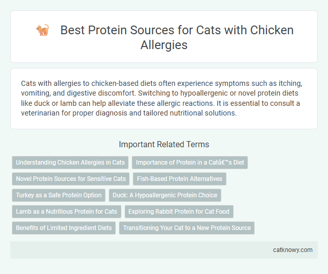 Best Protein Sources for Cats with Chicken Allergies