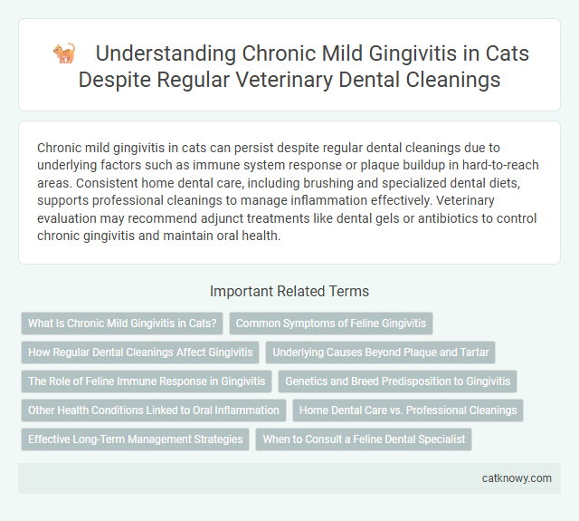 Understanding Chronic Mild Gingivitis in Cats Despite Regular Veterinary Dental Cleanings