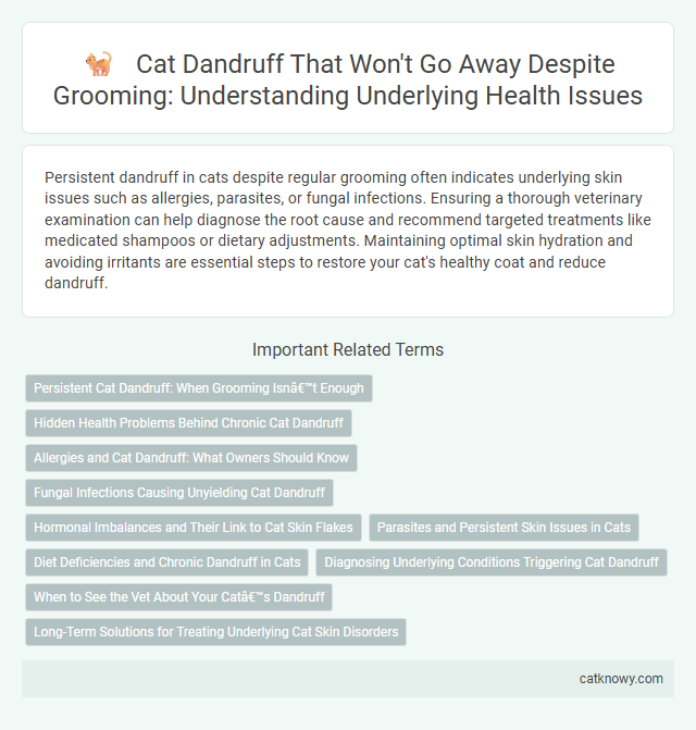 Cat Dandruff That Won't Go Away Despite Grooming: Understanding Underlying Health Issues
