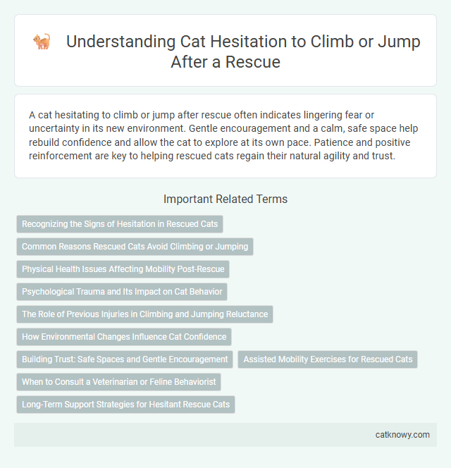 Understanding Cat Hesitation to Climb or Jump After a Rescue