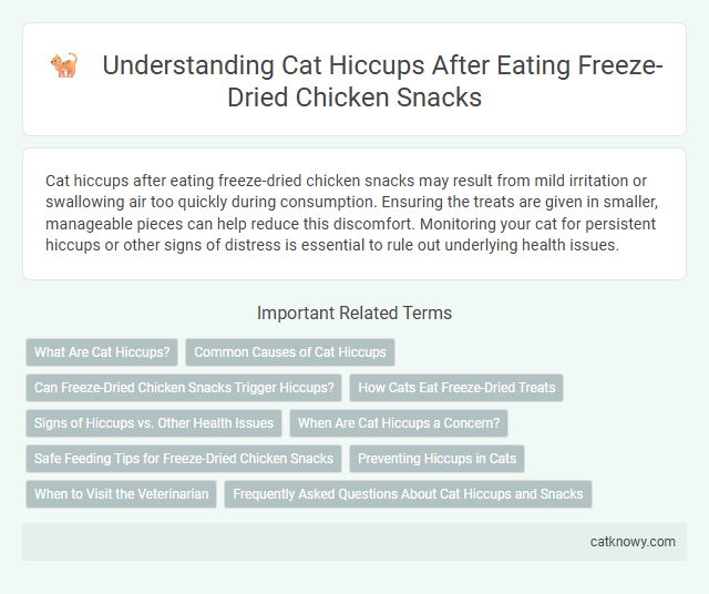 Understanding Cat Hiccups After Eating Freeze-Dried Chicken Snacks