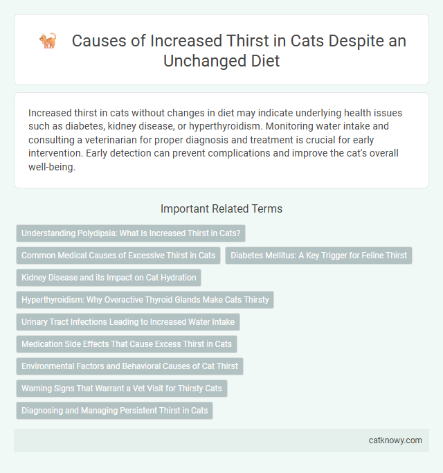 Causes of Increased Thirst in Cats Despite an Unchanged Diet