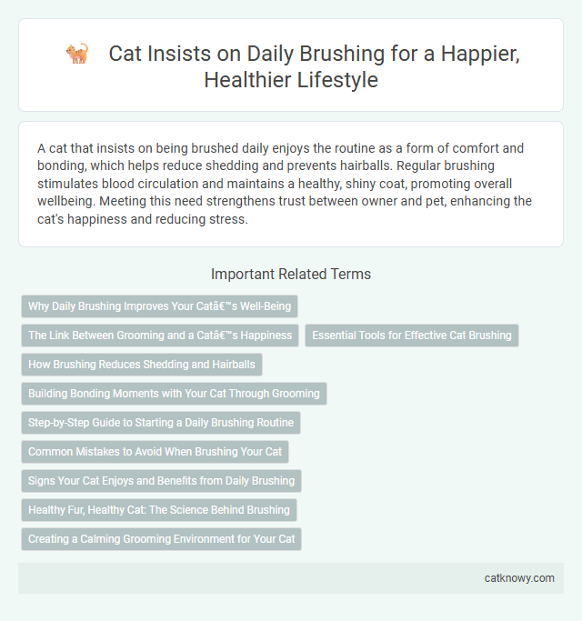 Cat Insists on Daily Brushing for a Happier, Healthier Lifestyle
