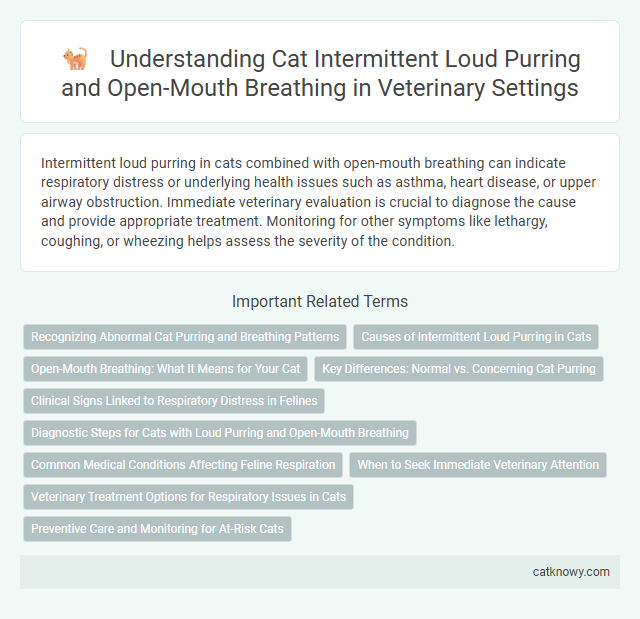 Understanding Cat Intermittent Loud Purring and Open-Mouth Breathing in Veterinary Settings