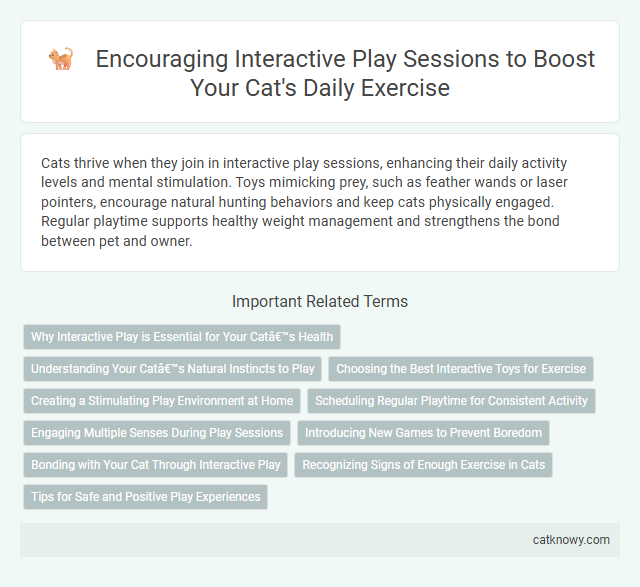 Encouraging Interactive Play Sessions to Boost Your Cat's Daily Exercise