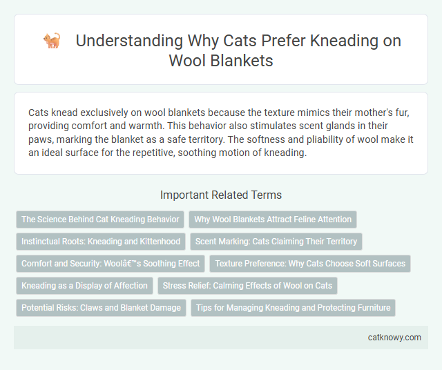 Understanding Why Cats Prefer Kneading on Wool Blankets