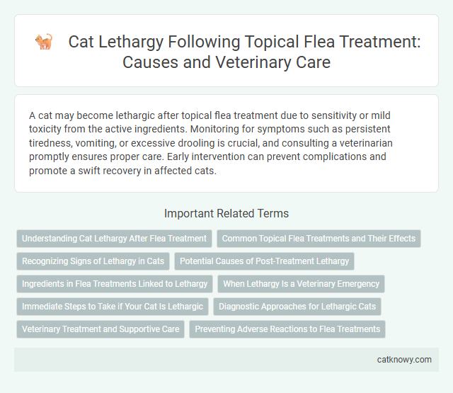 Cat Lethargy Following Topical Flea Treatment: Causes and Veterinary Care