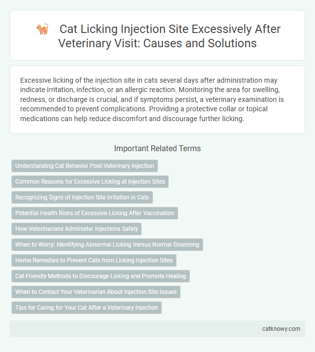 Cat Licking Injection Site Excessively After Veterinary Visit: Causes and Solutions