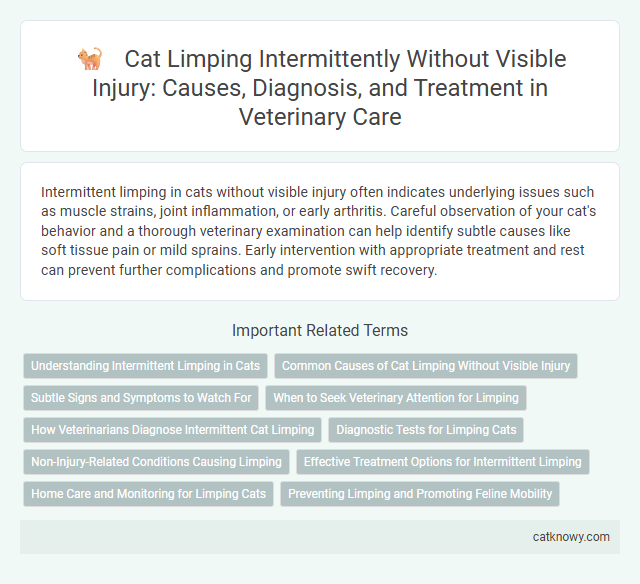 Cat Limping Intermittently Without Visible Injury: Causes, Diagnosis, and Treatment in Veterinary Care