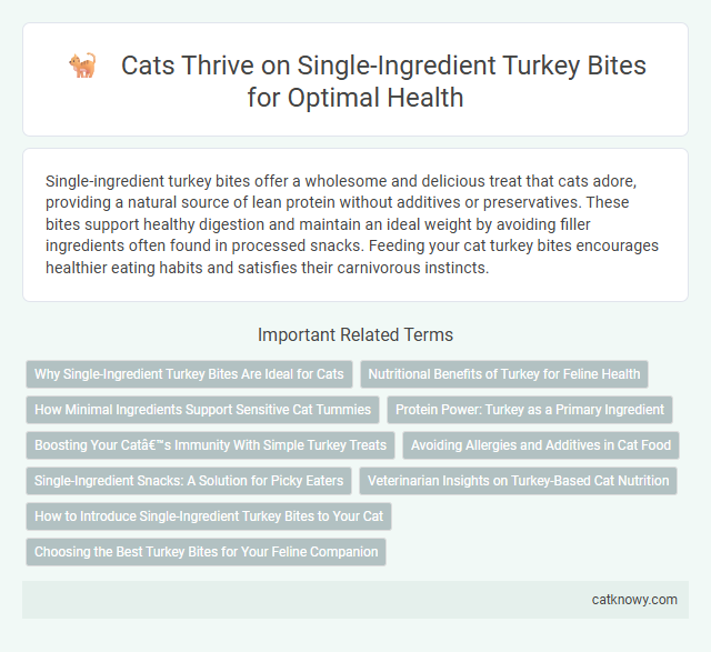 Cats Thrive on Single-Ingredient Turkey Bites for Optimal Health