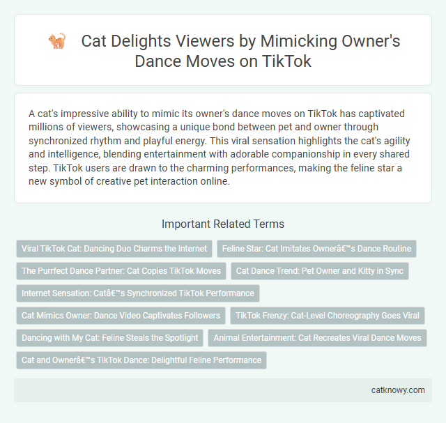 Cat Delights Viewers by Mimicking Owner's Dance Moves on TikTok