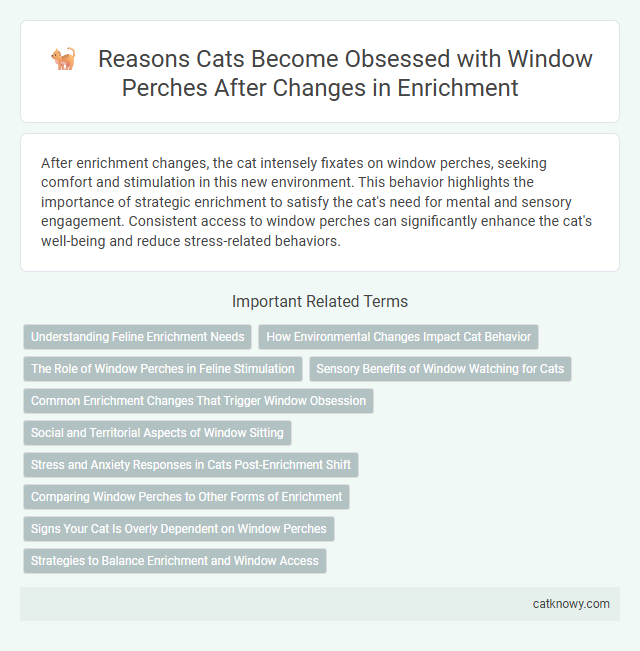 Reasons Cats Become Obsessed with Window Perches After Changes in Enrichment