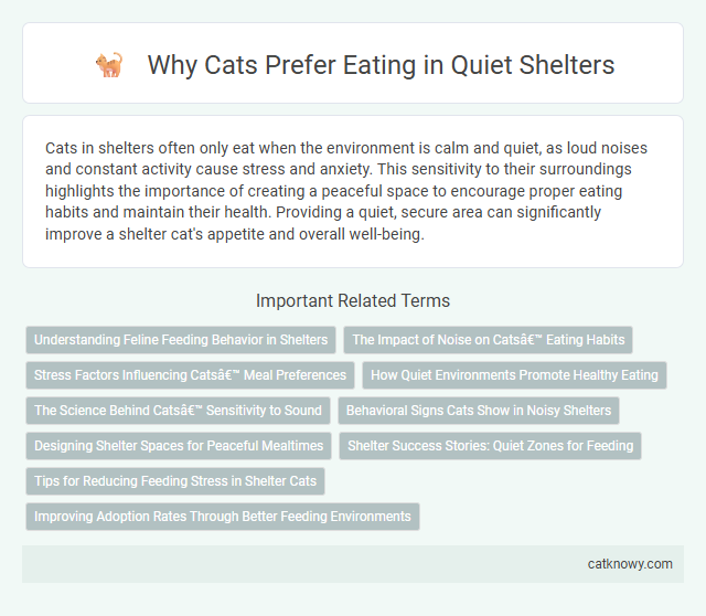 Why Cats Prefer Eating in Quiet Shelters