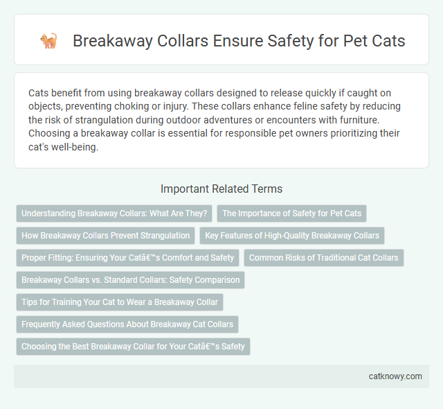 Breakaway Collars Ensure Safety for Pet Cats