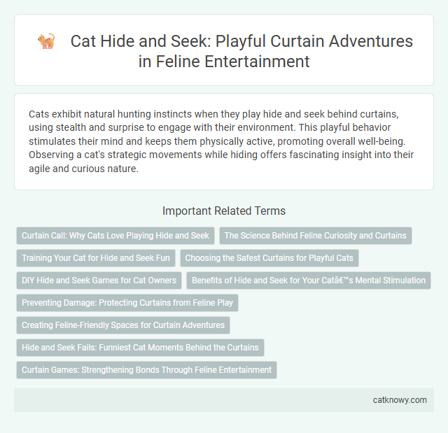 Cat Hide and Seek: Playful Curtain Adventures in Feline Entertainment