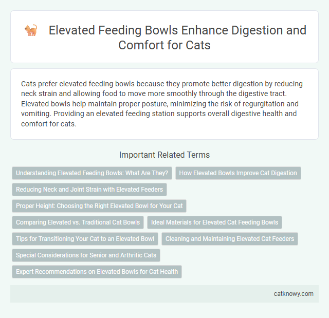 Elevated Feeding Bowls Enhance Digestion and Comfort for Cats