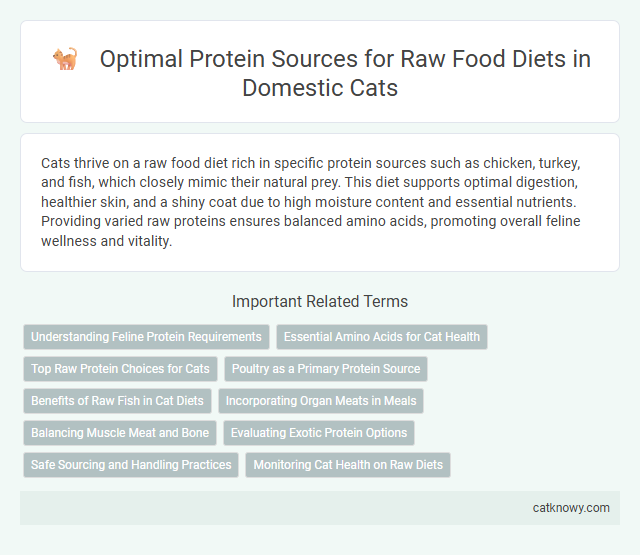 Optimal Protein Sources for Raw Food Diets in Domestic Cats