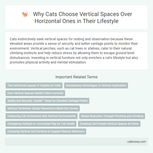 Why Cats Choose Vertical Spaces Over Horizontal Ones in Their Lifestyle