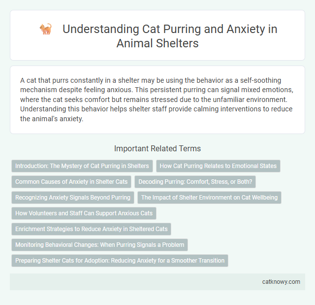 Understanding Cat Purring and Anxiety in Animal Shelters