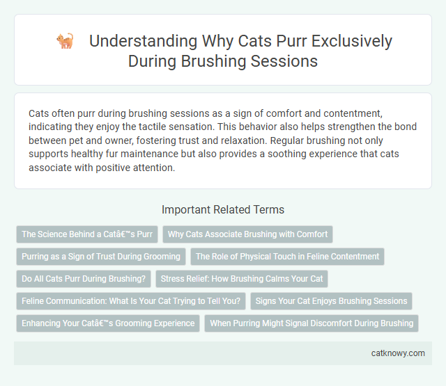 Understanding Why Cats Purr Exclusively During Brushing Sessions