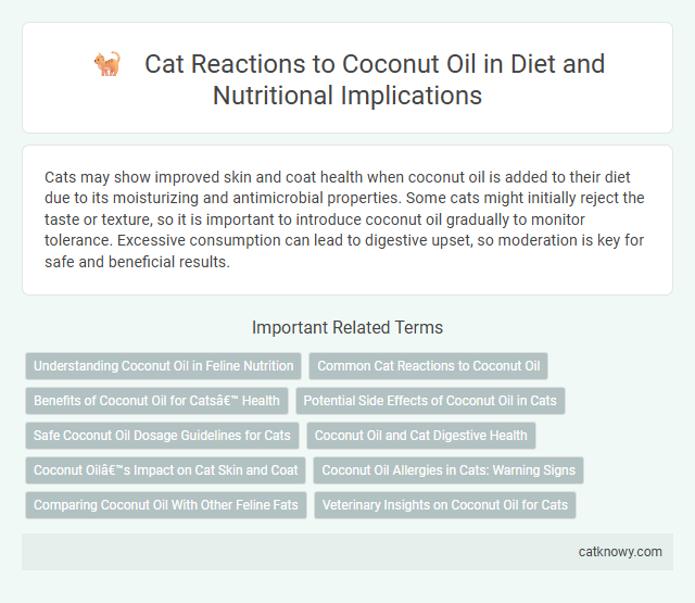 Cat Reactions to Coconut Oil in Diet and Nutritional Implications
