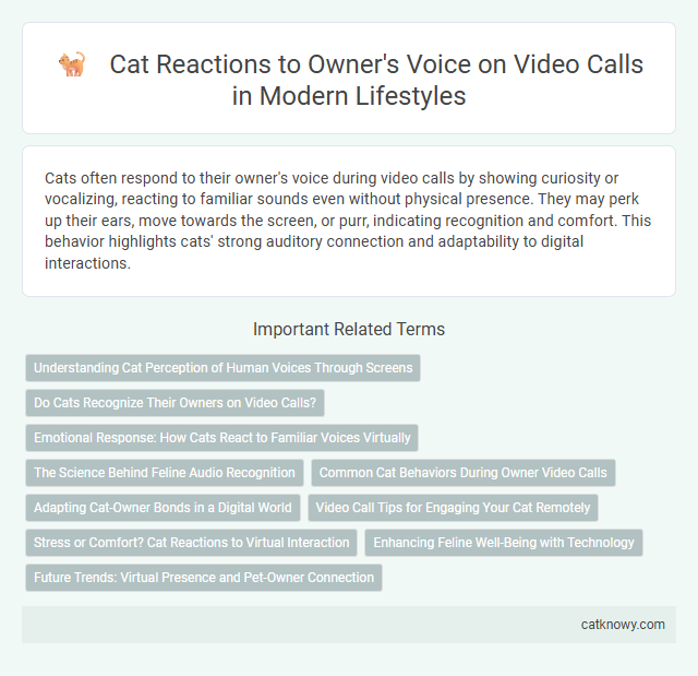 Cat Reactions to Owner's Voice on Video Calls in Modern Lifestyles