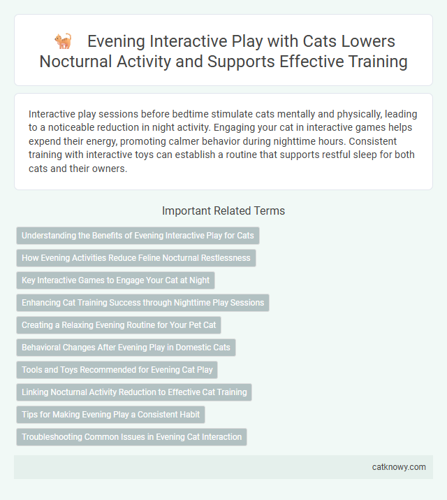 Evening Interactive Play with Cats Lowers Nocturnal Activity and Supports Effective Training