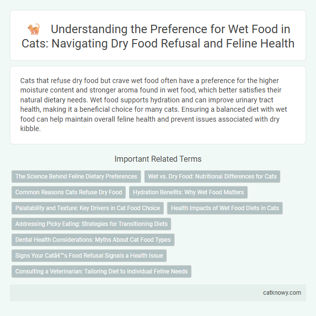 Understanding the Preference for Wet Food in Cats: Navigating Dry Food Refusal and Feline Health