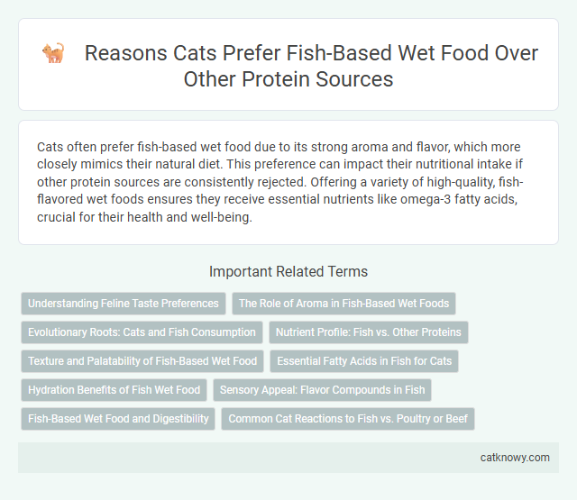 Reasons Cats Prefer Fish-Based Wet Food Over Other Protein Sources