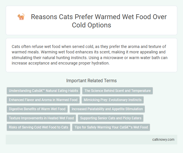 Reasons Cats Prefer Warmed Wet Food Over Cold Options
