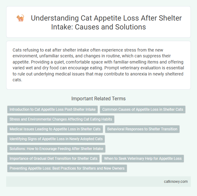 Understanding Cat Appetite Loss After Shelter Intake: Causes and Solutions