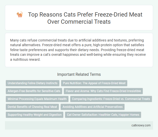 Top Reasons Cats Prefer Freeze-Dried Meat Over Commercial Treats