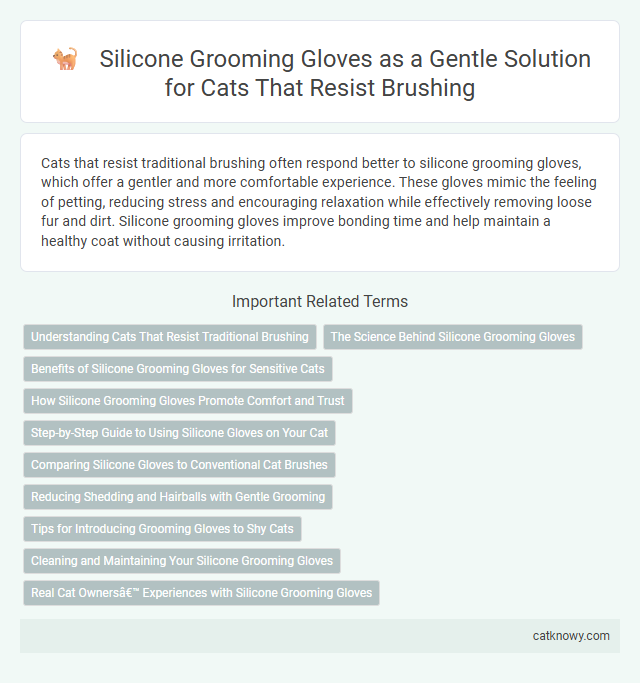 Silicone Grooming Gloves as a Gentle Solution for Cats That Resist Brushing