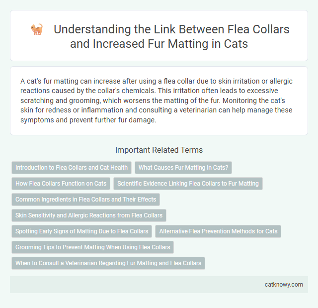 Understanding the Link Between Flea Collars and Increased Fur Matting in Cats