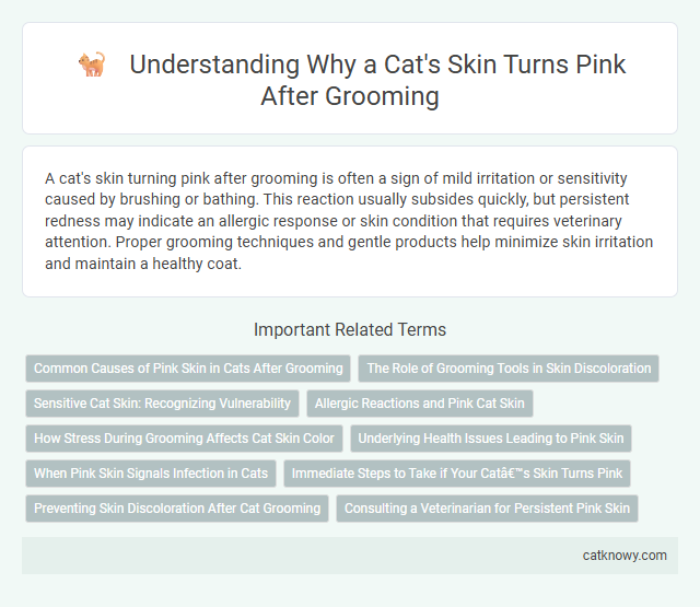 Understanding Why a Cat's Skin Turns Pink After Grooming