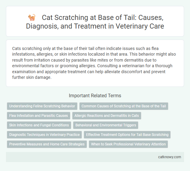 Cat Scratching at Base of Tail: Causes, Diagnosis, and Treatment in Veterinary Care