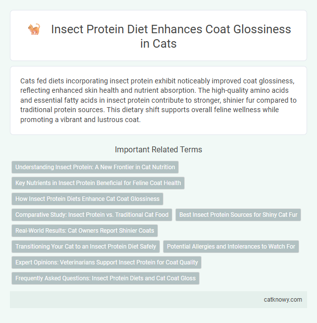 Insect Protein Diet Enhances Coat Glossiness in Cats