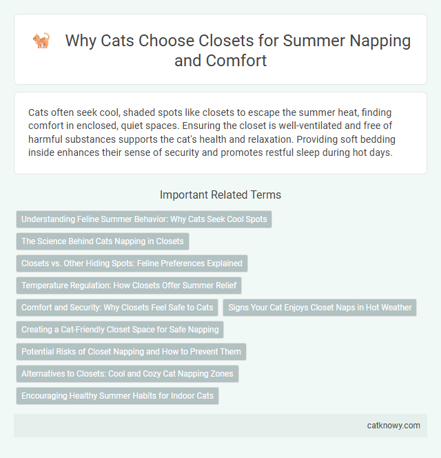 Why Cats Choose Closets for Summer Napping and Comfort