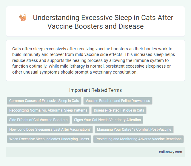 Understanding Excessive Sleep in Cats After Vaccine Boosters and Disease