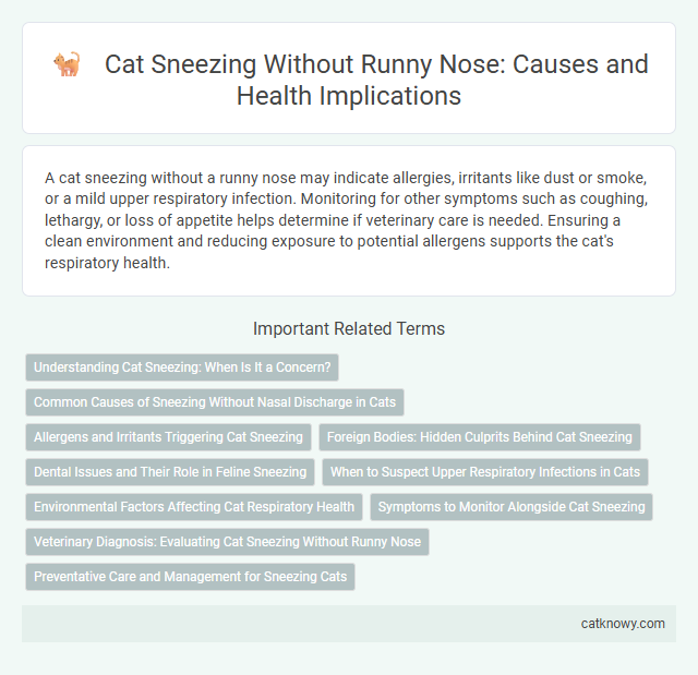 Cat Sneezing Without Runny Nose: Causes and Health Implications