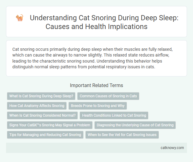 Understanding Cat Snoring During Deep Sleep: Causes and Health Implications