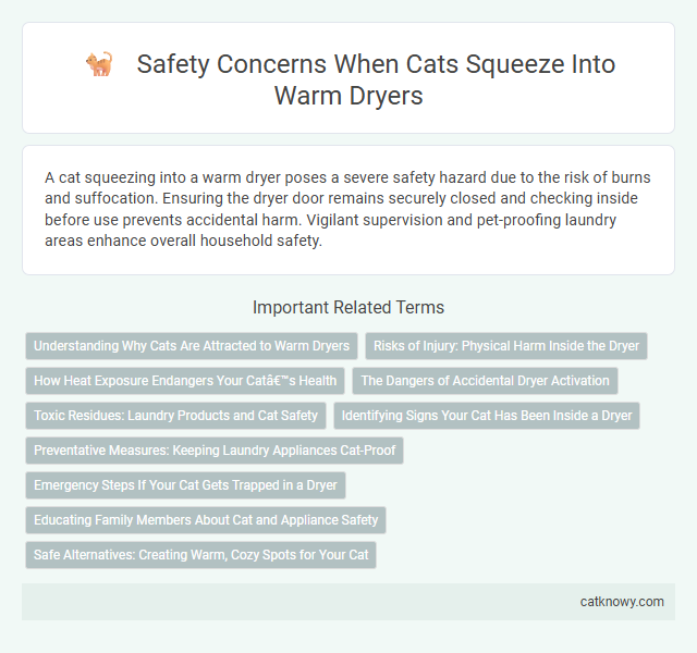 Safety Concerns When Cats Squeeze Into Warm Dryers