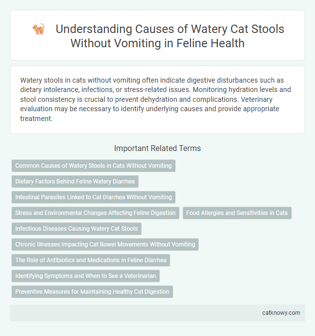 Understanding Causes of Watery Cat Stools Without Vomiting in Feline Health