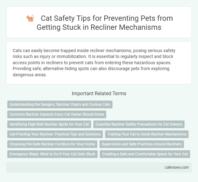 Cat Safety Tips for Preventing Pets from Getting Stuck in Recliner Mechanisms