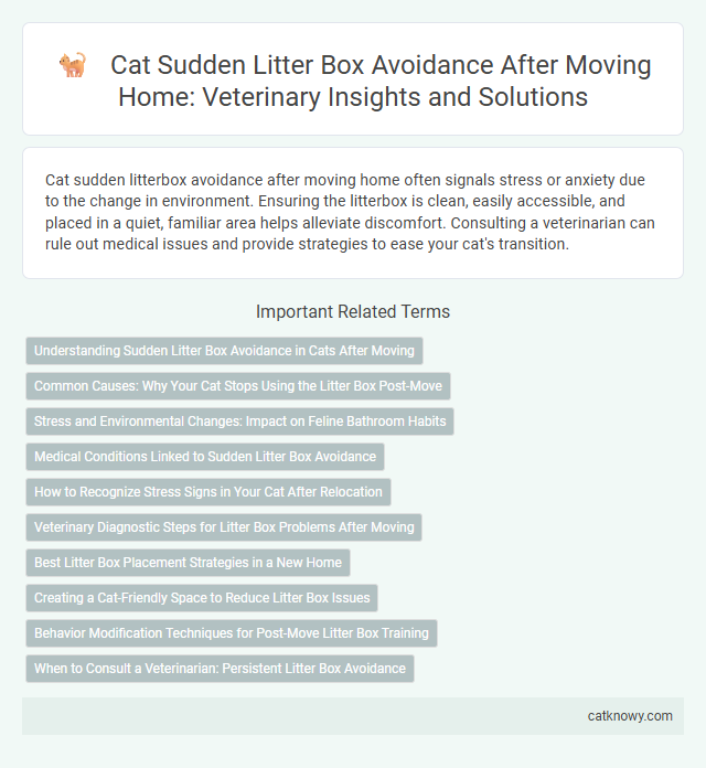 Cat Sudden Litter Box Avoidance After Moving Home: Veterinary Insights and Solutions