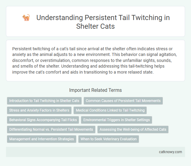 Understanding Persistent Tail Twitching in Shelter Cats