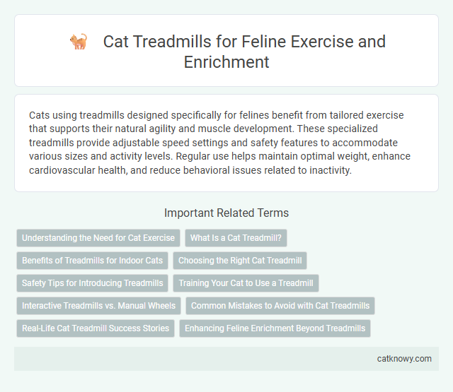 Cat Treadmills for Feline Exercise and Enrichment